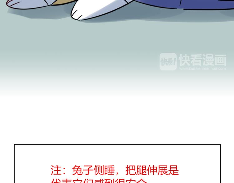 《别碰我的兔子君》特别篇 关于兔子的那些事05 第8页
