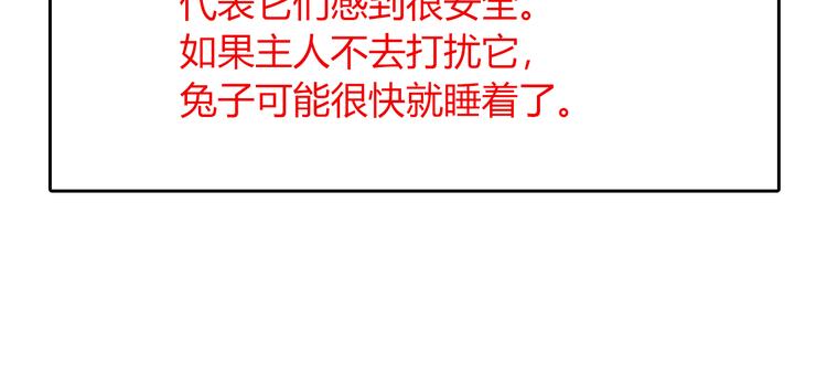 《别碰我的兔子君》特别篇 关于兔子的那些事05 第9页