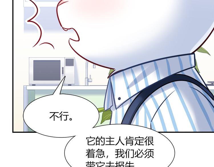《别碰我的兔子君》第62话 这个东西居然会动！ 第35页