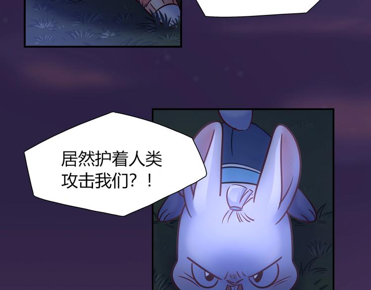 《别碰我的兔子君》第87话 收养兔子？ 第5页