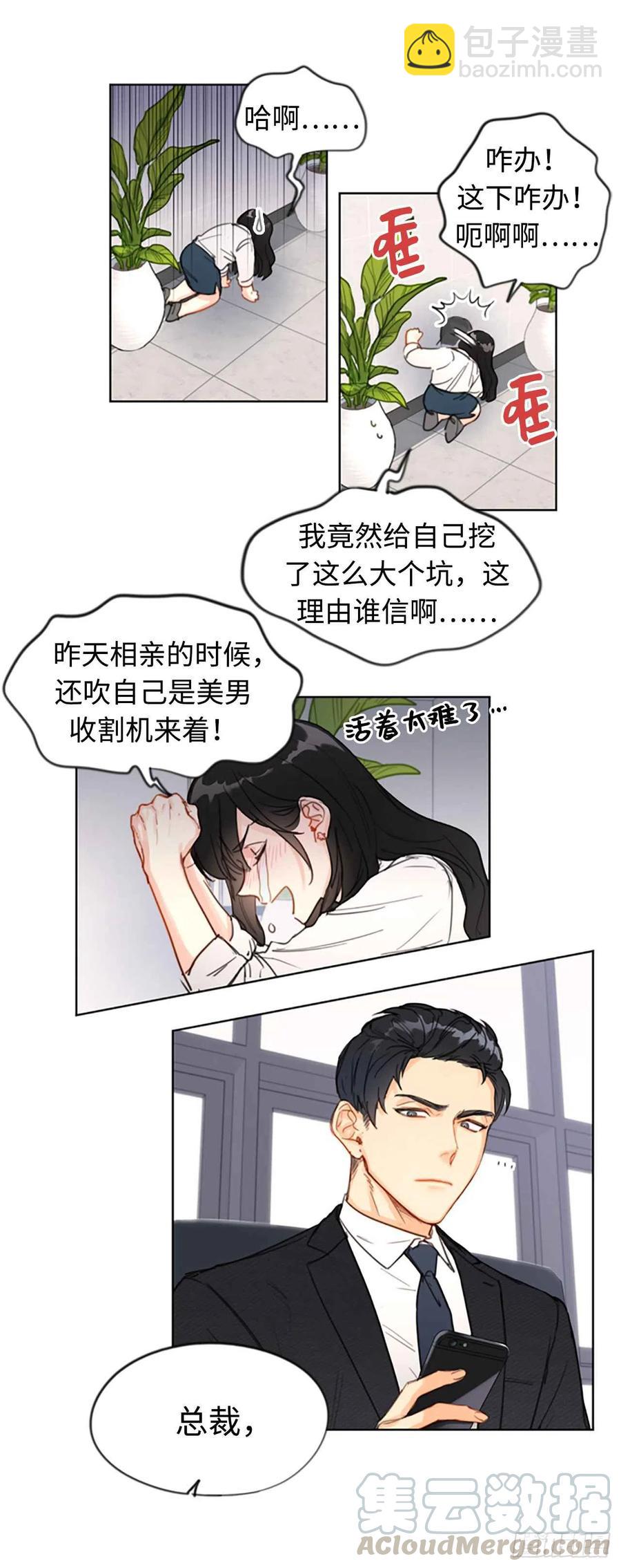 《总裁的相亲》1.相亲对象是总裁？ 第35页