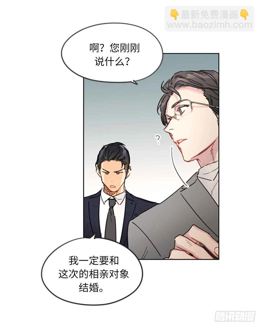 《总裁的相亲》5.我要和这次的相亲对象结婚 第26页