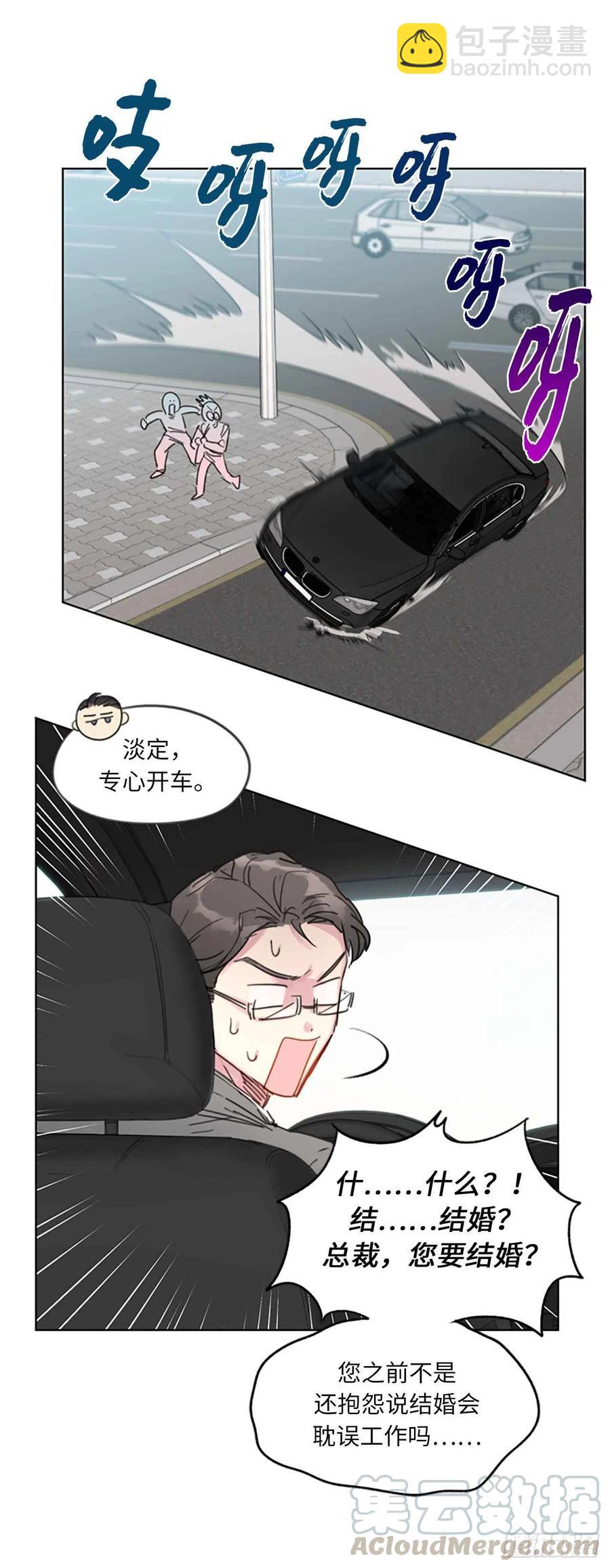 《总裁的相亲》5.我要和这次的相亲对象结婚 第27页