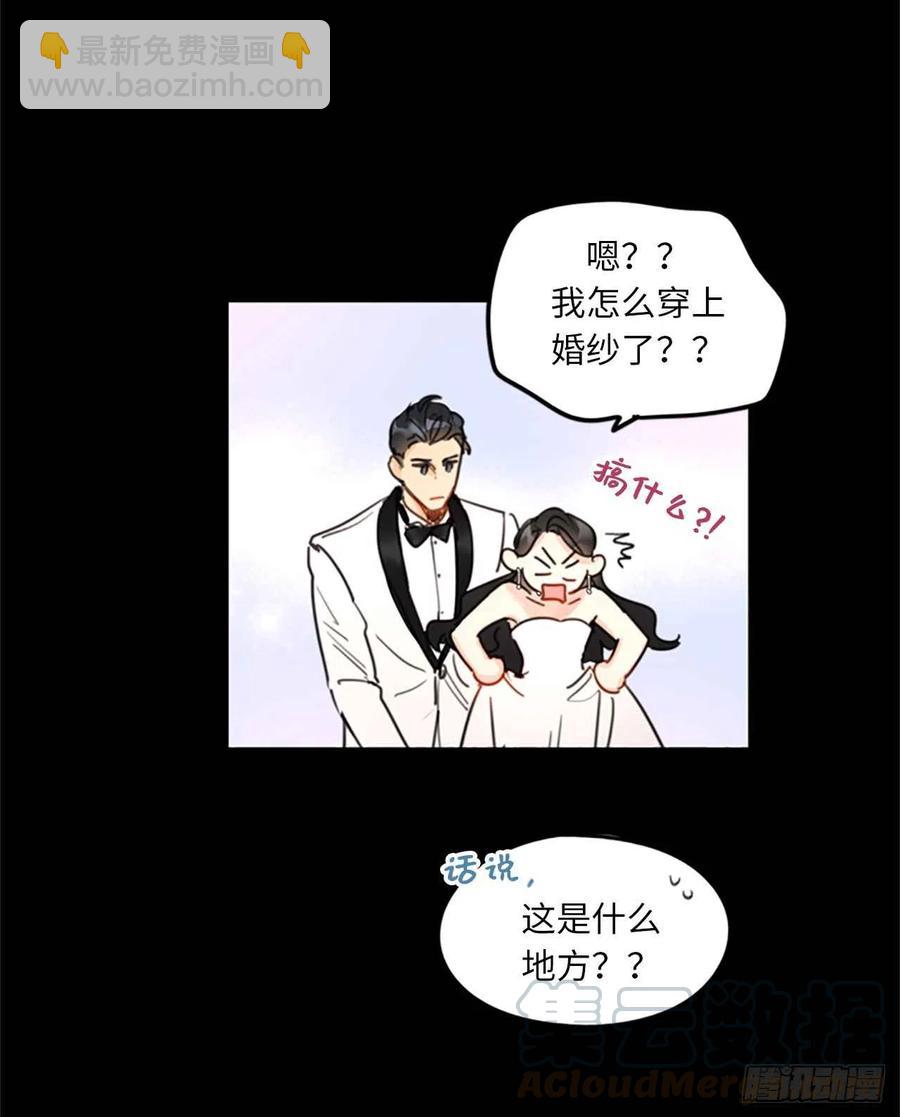 《总裁的相亲》10.梦中被逼婚 第31页