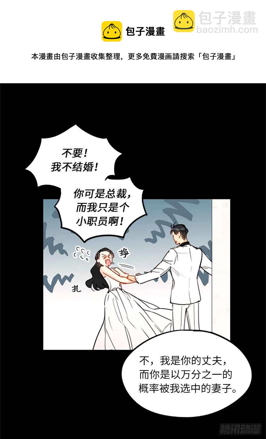 《总裁的相亲》10.梦中被逼婚 第33页