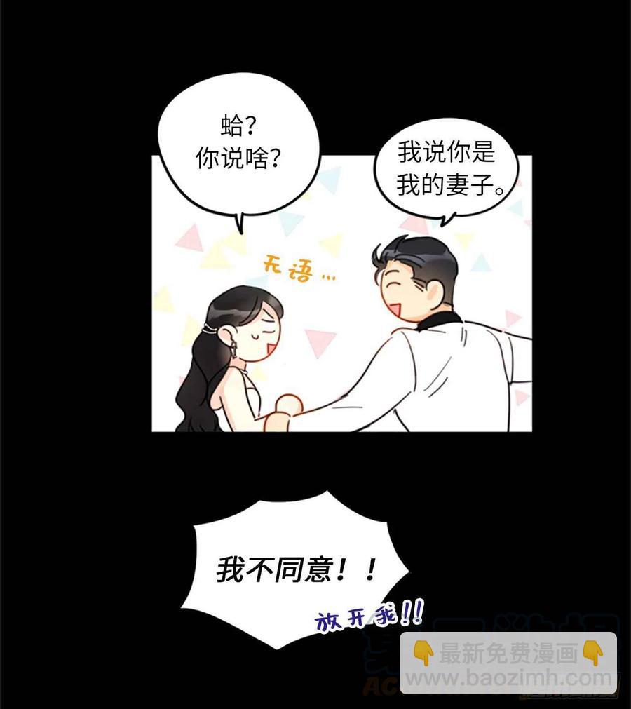 《总裁的相亲》10.梦中被逼婚 第34页