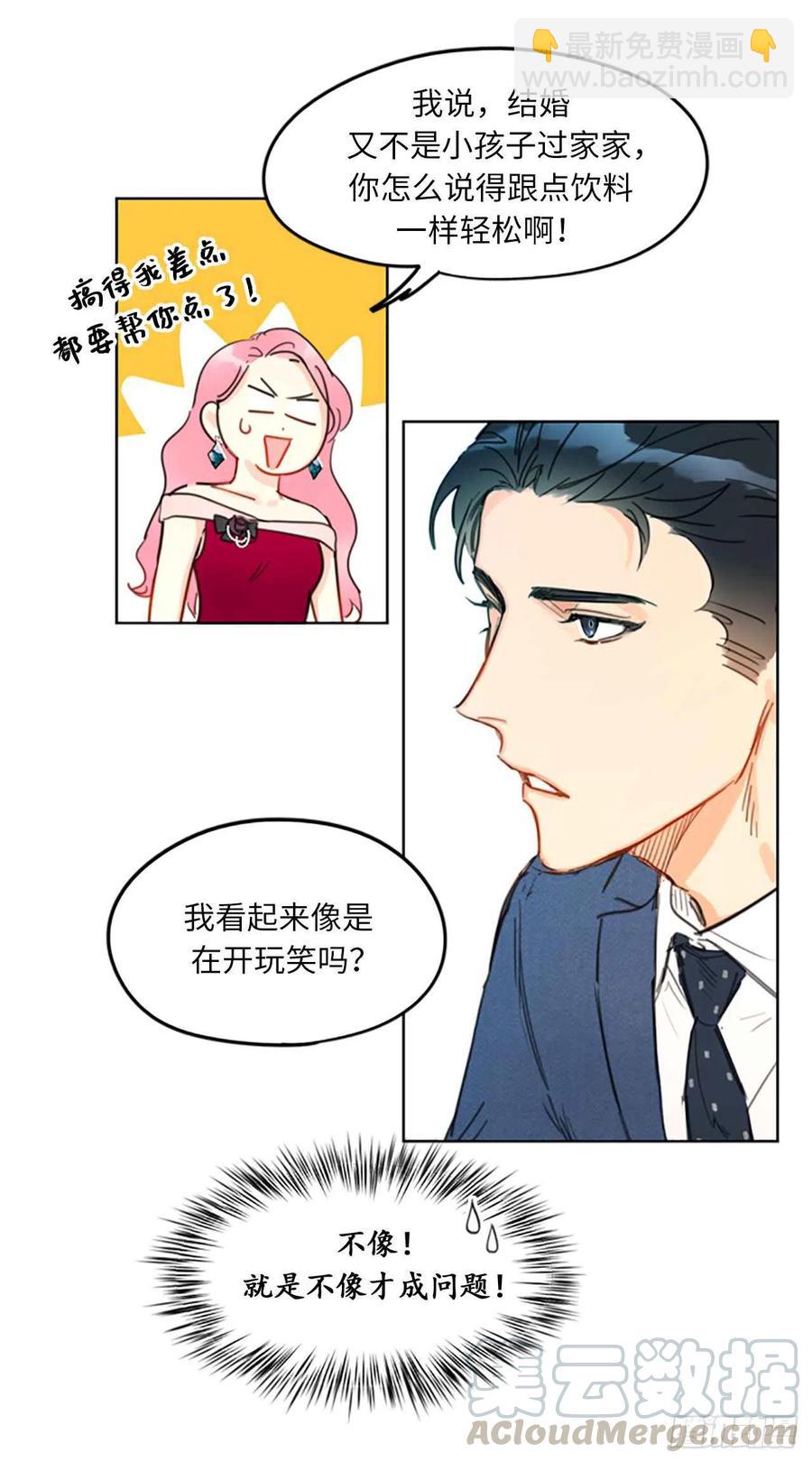《总裁的相亲》9.狗血一般的初恋 第27页