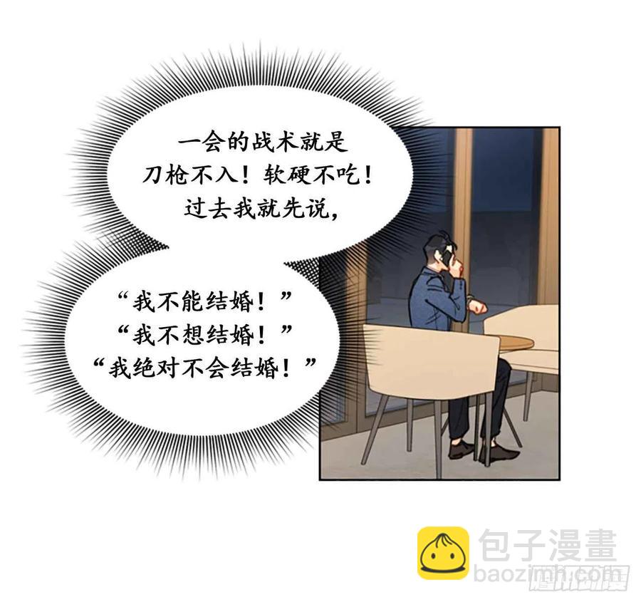 《总裁的相亲》9.狗血一般的初恋 第34页