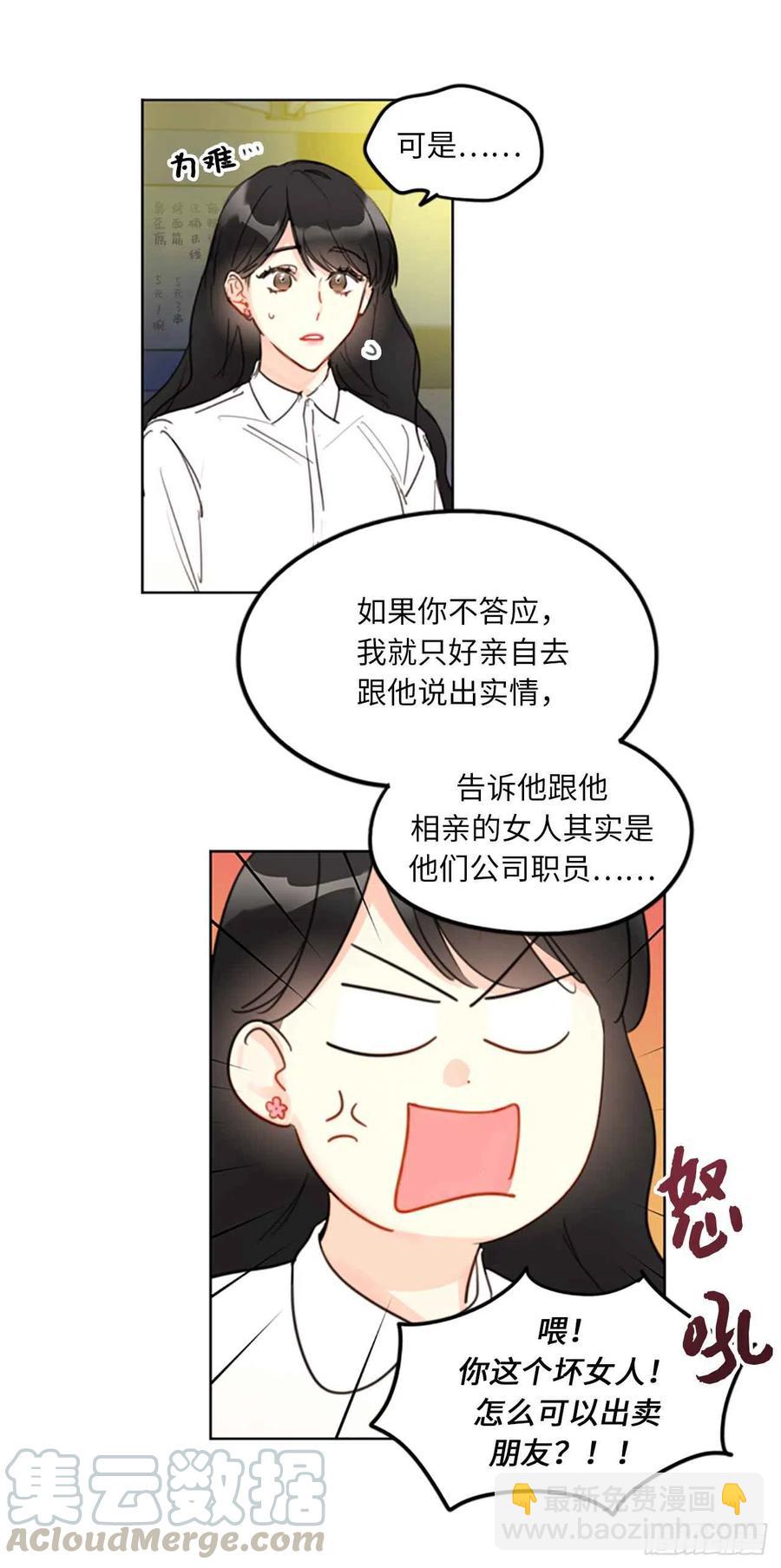 《总裁的相亲》9.狗血一般的初恋 第3页