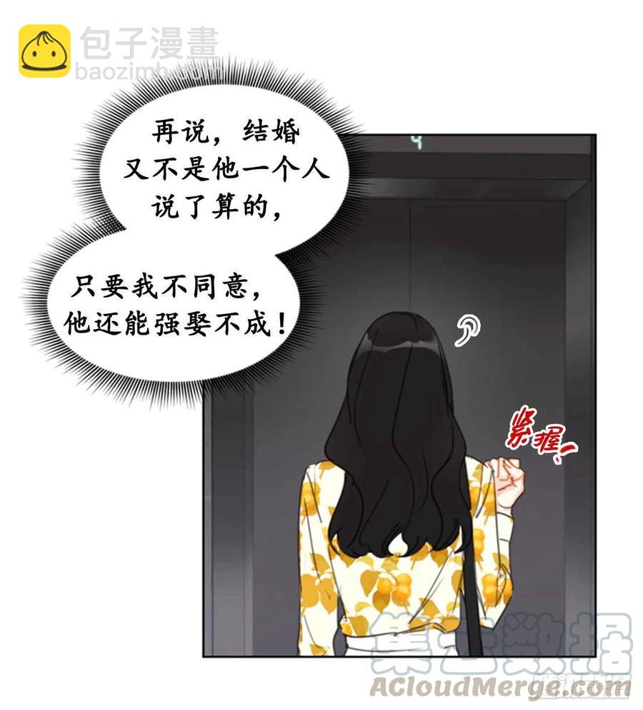 《总裁的相亲》18.结婚和被灭二选一 第11页