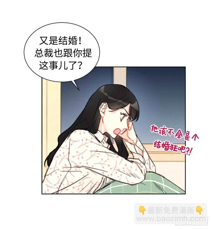 《总裁的相亲》17.要不我们还是招了吧 第26页