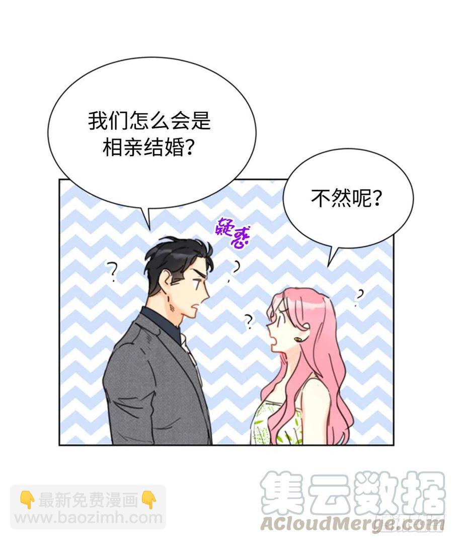 《总裁的相亲》30.因为你搞砸了我的相亲 第37页