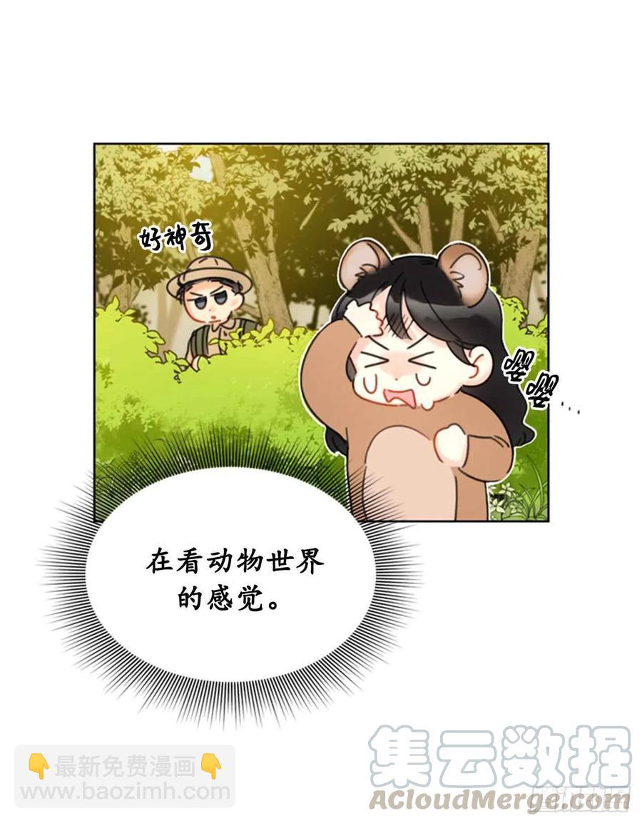 《总裁的相亲》31.我们春心荡漾的总裁 第35页
