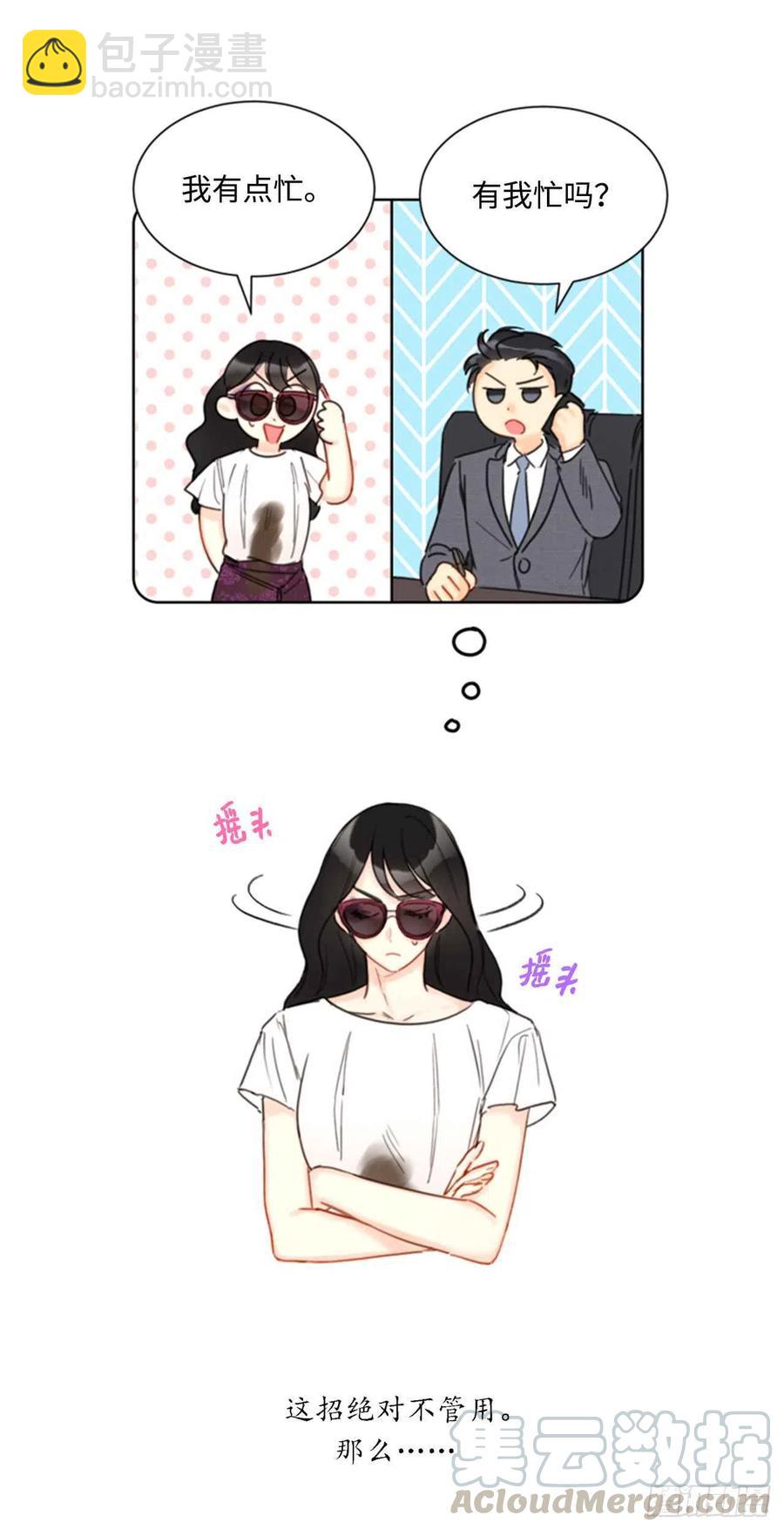 《总裁的相亲》36.乐观又可靠的老姐 第40页