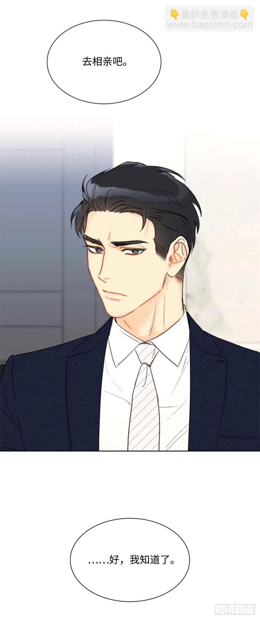 《总裁的相亲》43.我被解雇啦？ 第30页