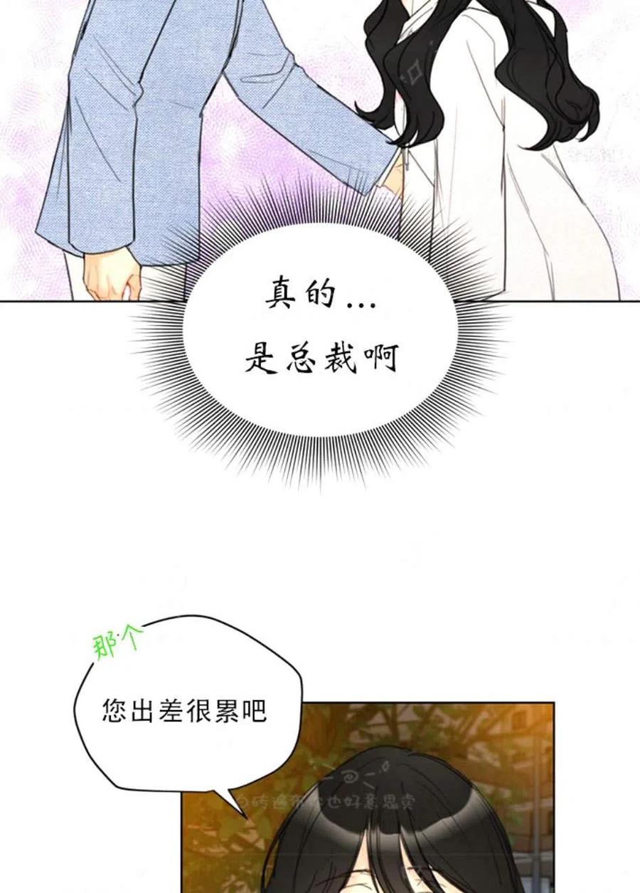 《总裁的相亲》97-98话 第47页