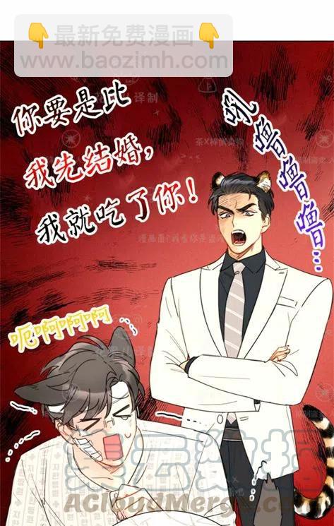 《总裁的相亲》113-114话 第31页