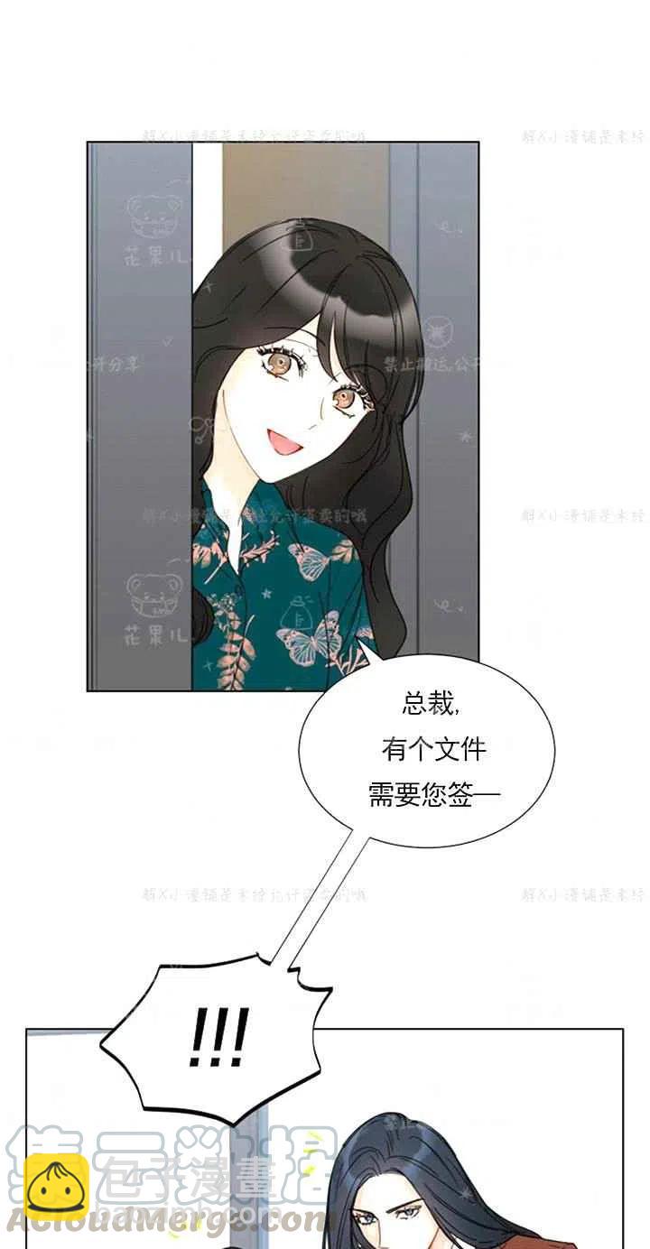 《总裁的相亲》155-156 第31页