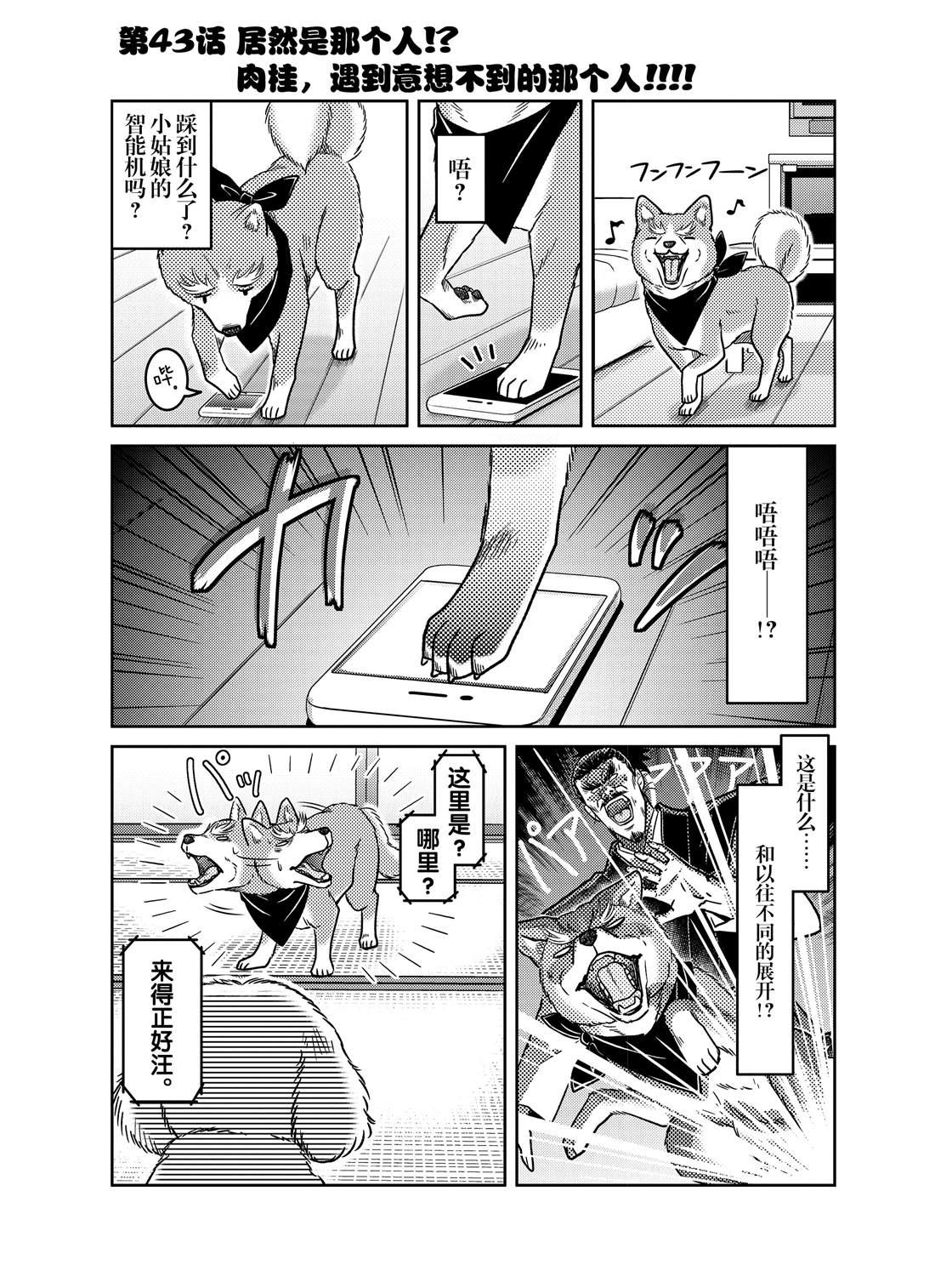 《织田肉桂信长》第43话 第1页