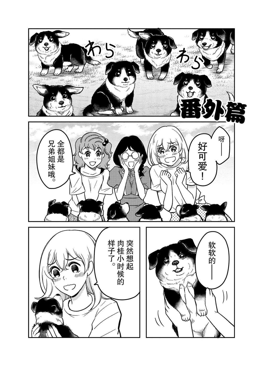 《织田肉桂信长》第71话 第13页