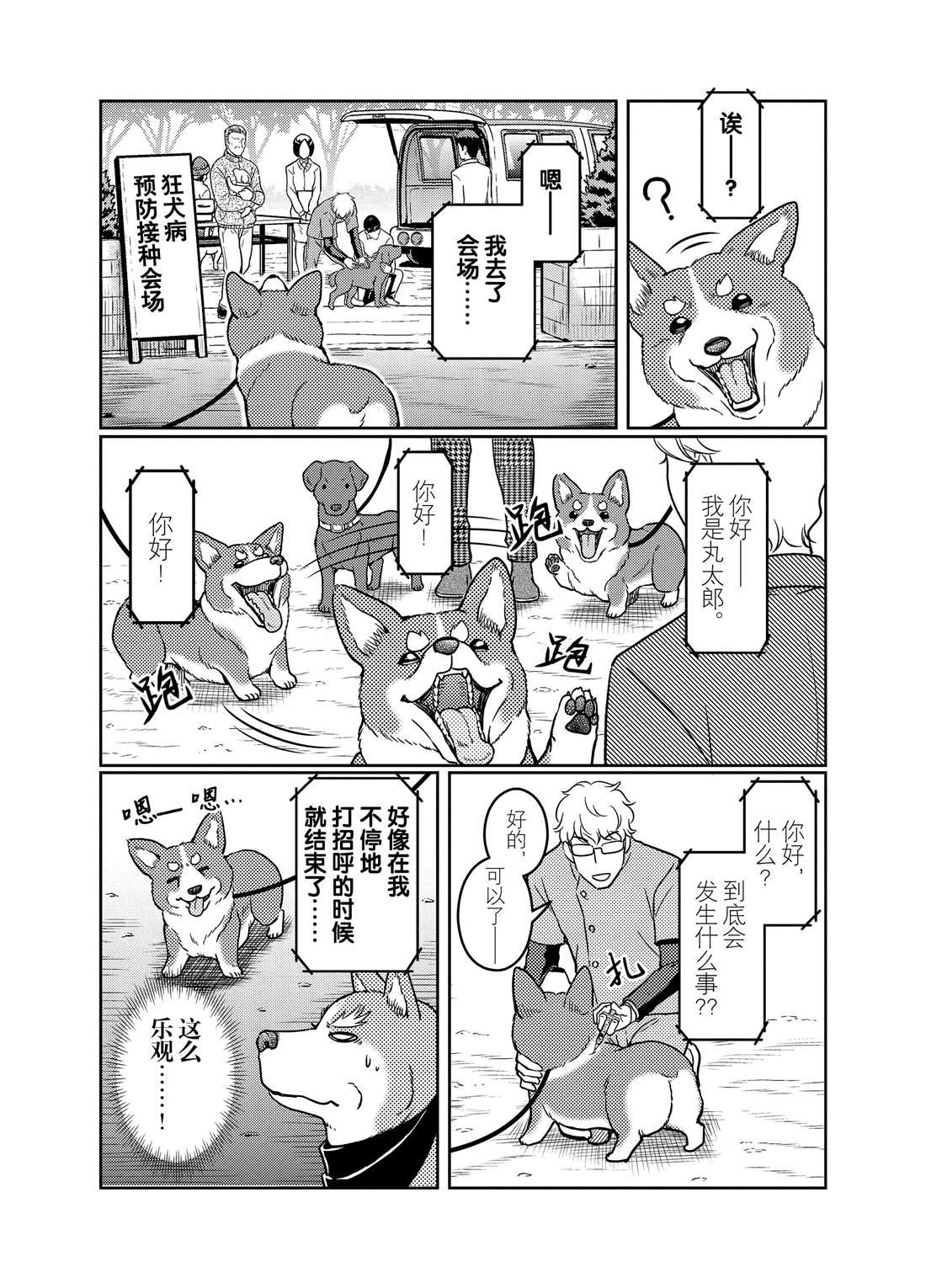 《织田肉桂信长》第72话 第13页