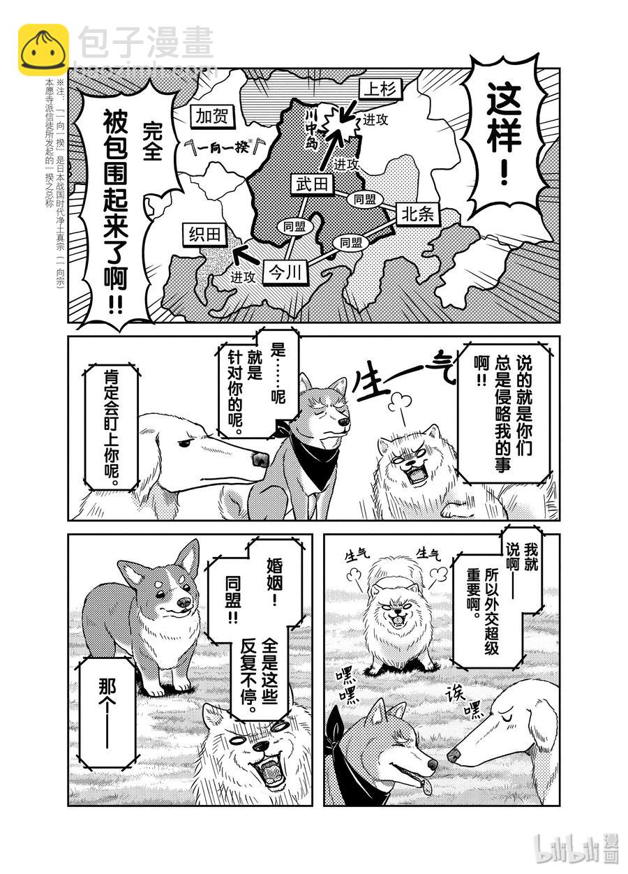 《织田肉桂信长》83 如同甲斐之虎 温情的小狗与内裤日常 第12页