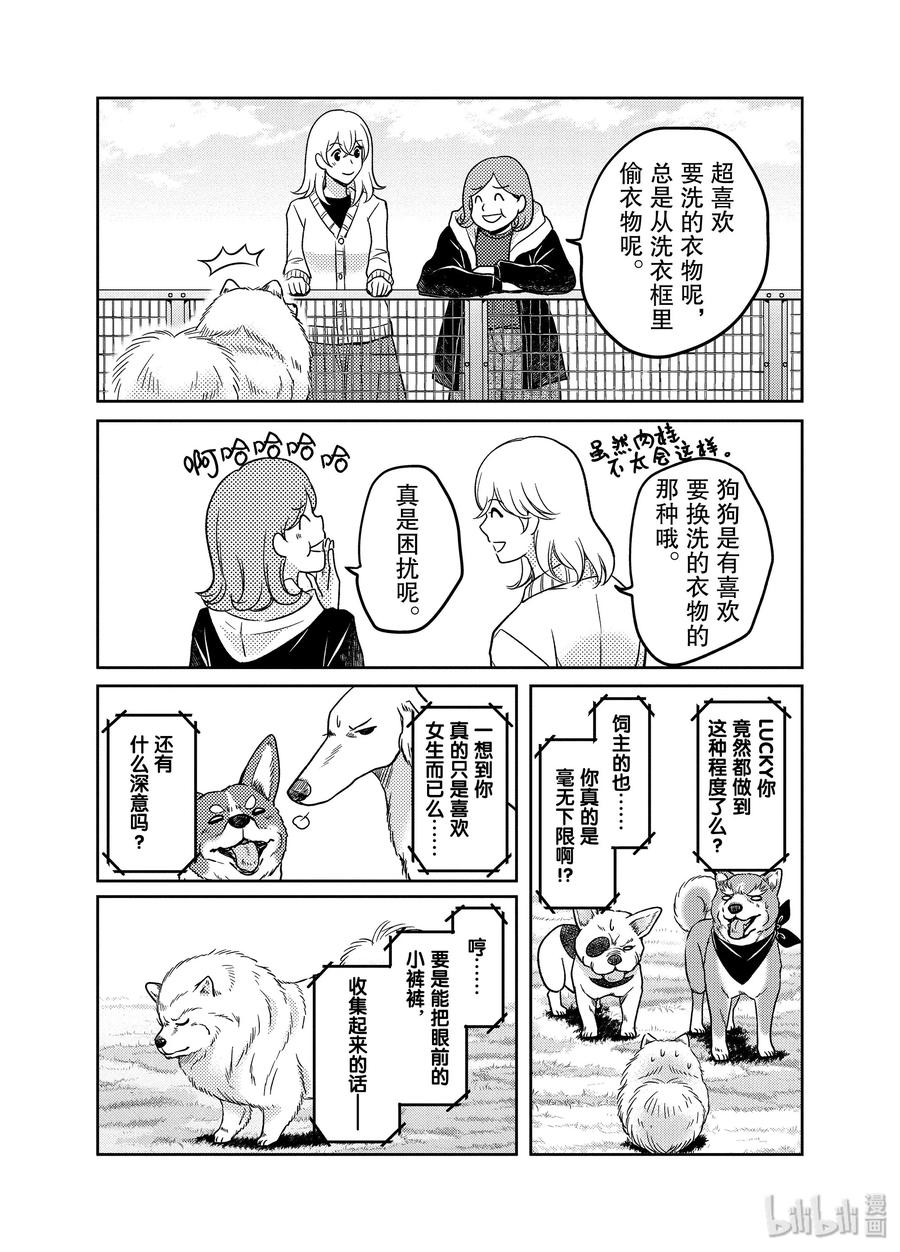 《织田肉桂信长》83 如同甲斐之虎 温情的小狗与内裤日常 第16页