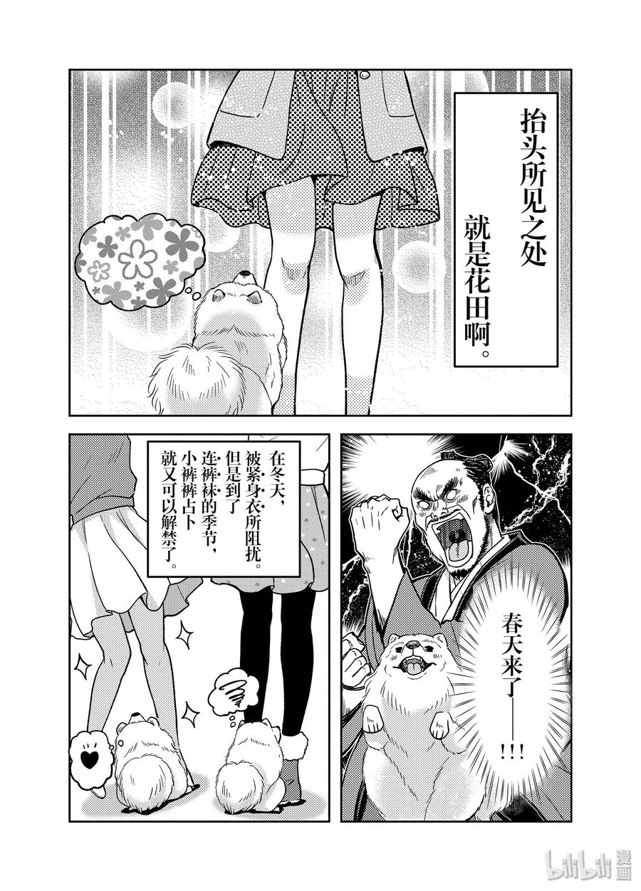 《织田肉桂信长》83 如同甲斐之虎 温情的小狗与内裤日常 第7页