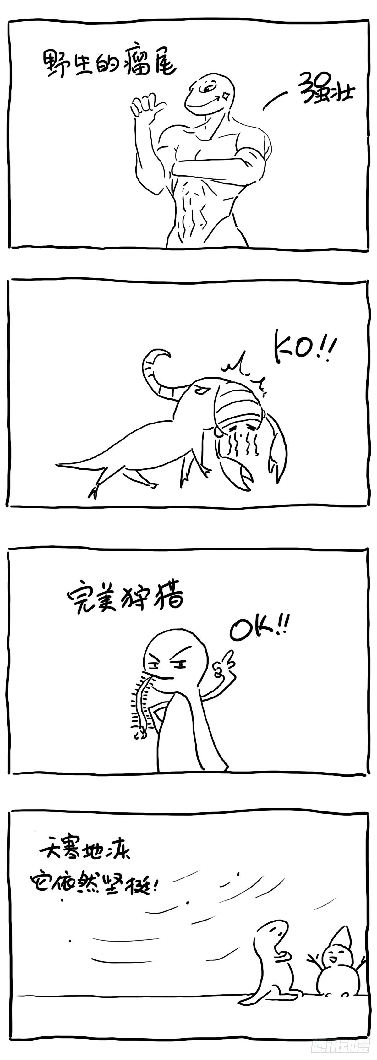 《闲白儿up and down!》野生vs家养 第1页