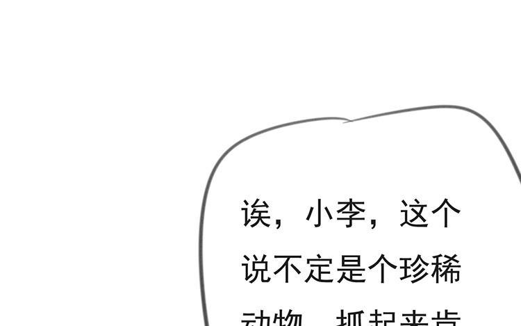 《相亲对象是个妖》第28话 人类太讨厌了！ 第12页