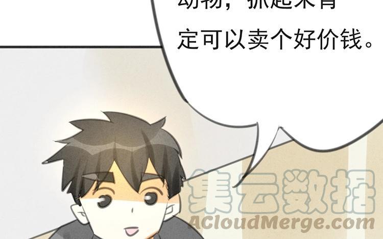 《相亲对象是个妖》第28话 人类太讨厌了！ 第13页