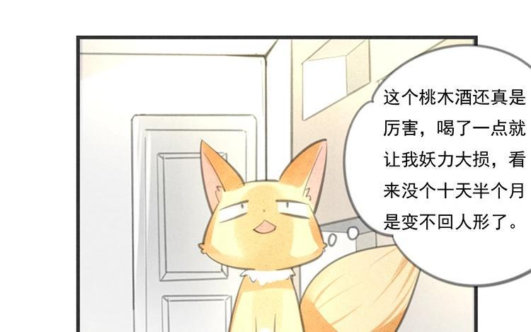 《相亲对象是个妖》第31话 有你这样占卜的吗？ 第11页
