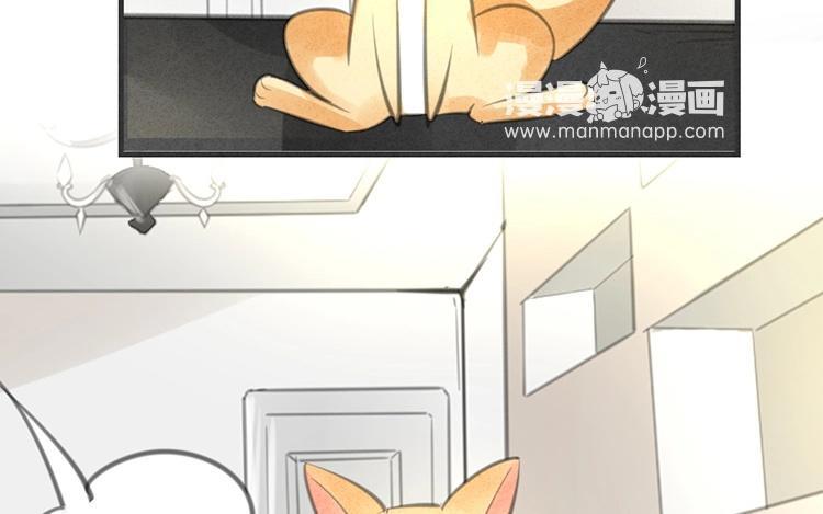 《相亲对象是个妖》第31话 有你这样占卜的吗？ 第12页