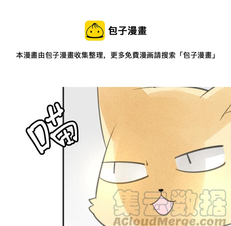 《相亲对象是个妖》第31话 有你这样占卜的吗？ 第16页