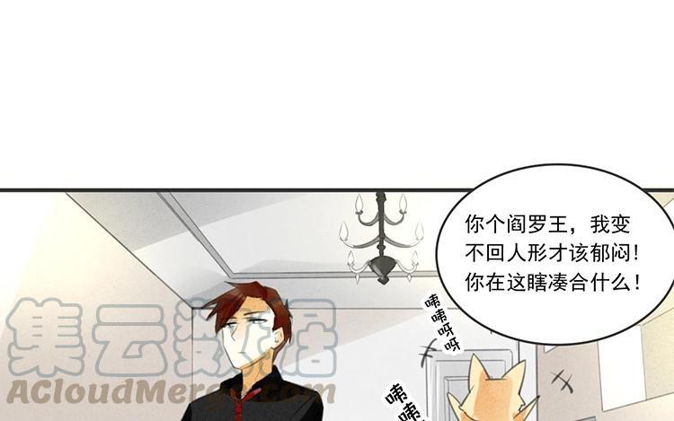 《相亲对象是个妖》第31话 有你这样占卜的吗？ 第19页