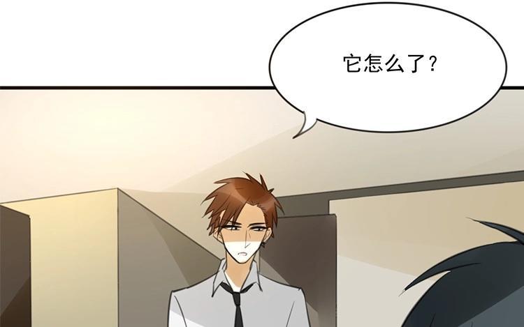 《相亲对象是个妖》第34话 别太担心 第35页