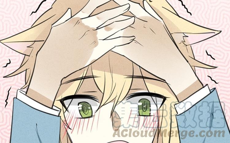 《相亲对象是个妖》第51话 正常反应 第4页
