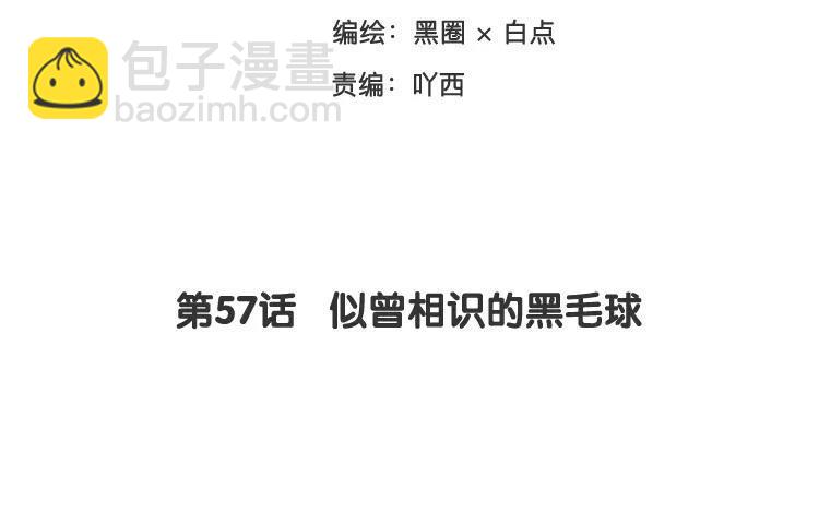 《相亲对象是个妖》第57话 似曾相识的黑毛球 第3页