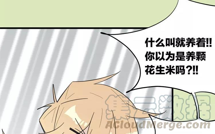 《相亲对象是个妖》第82话 他同意了 第40页