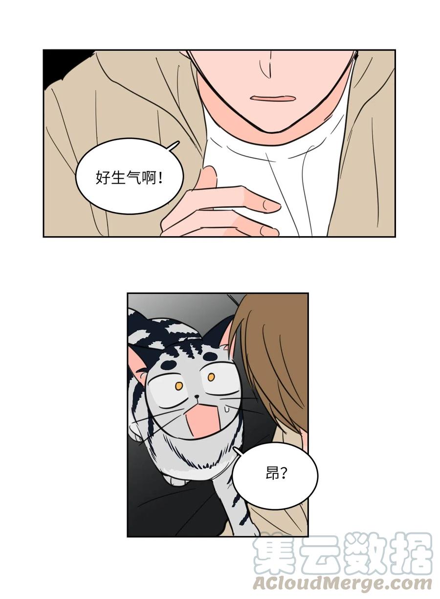 《心跳加速的合租生活》08 安助教怎么了 第28页