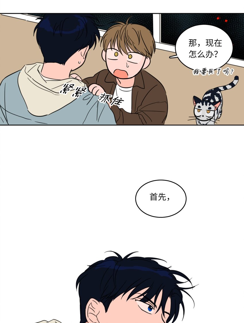 《心跳加速的合租生活》05 捉鬼 第11页