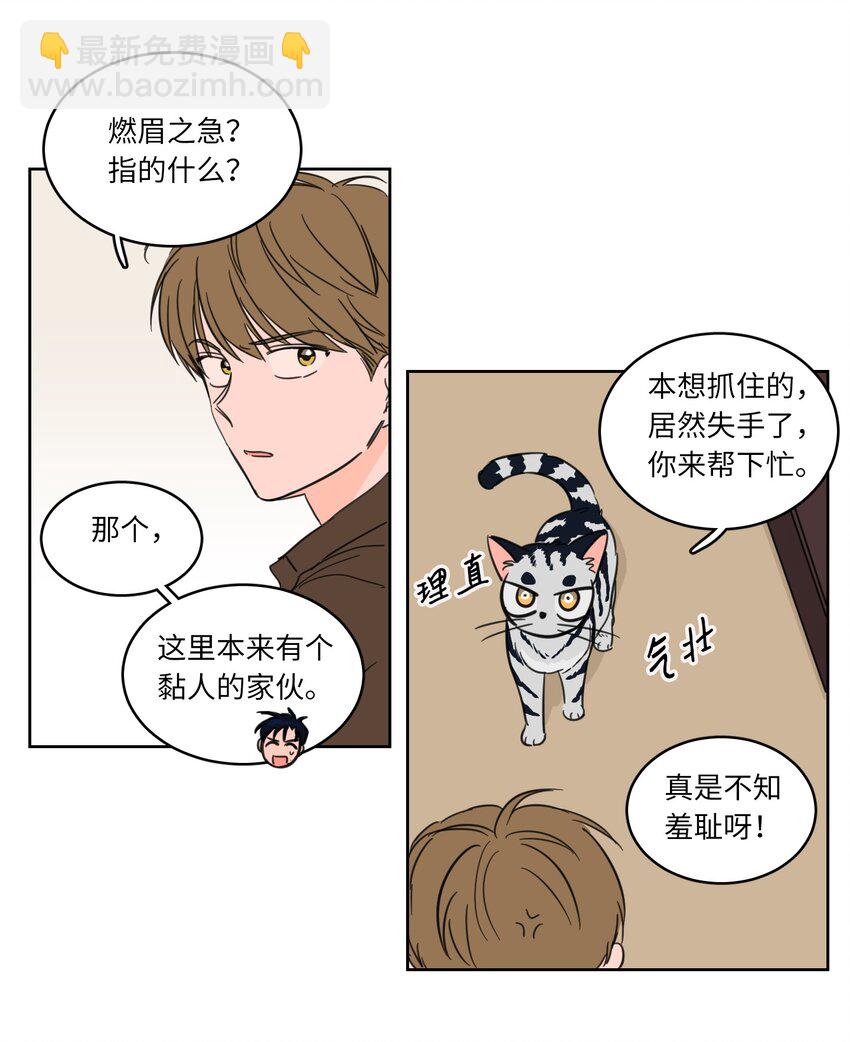 《心跳加速的合租生活》05 捉鬼 第4页