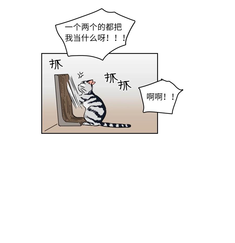 《心跳加速的合租生活》13 两人之间的关系 第35页