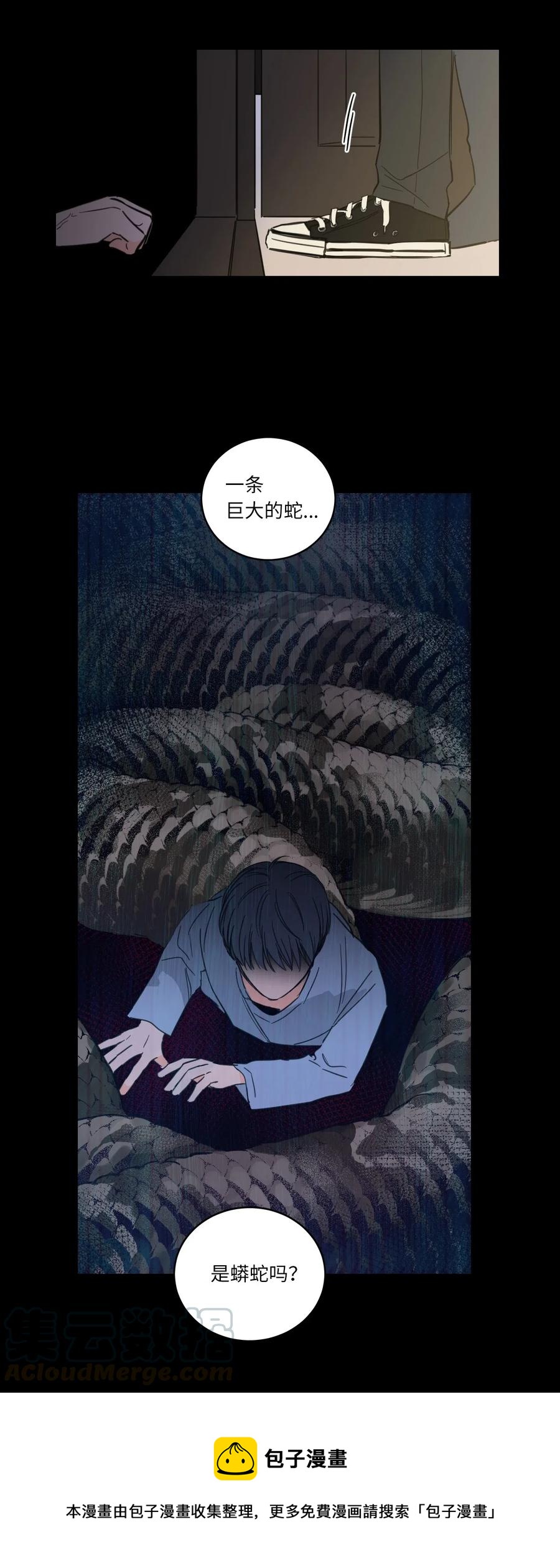 《心跳加速的合租生活》37 像蟒蛇一样的灿英 第13页