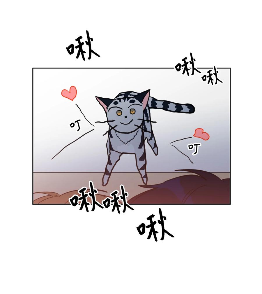 《心跳加速的合租生活》43 未知来电 第12页