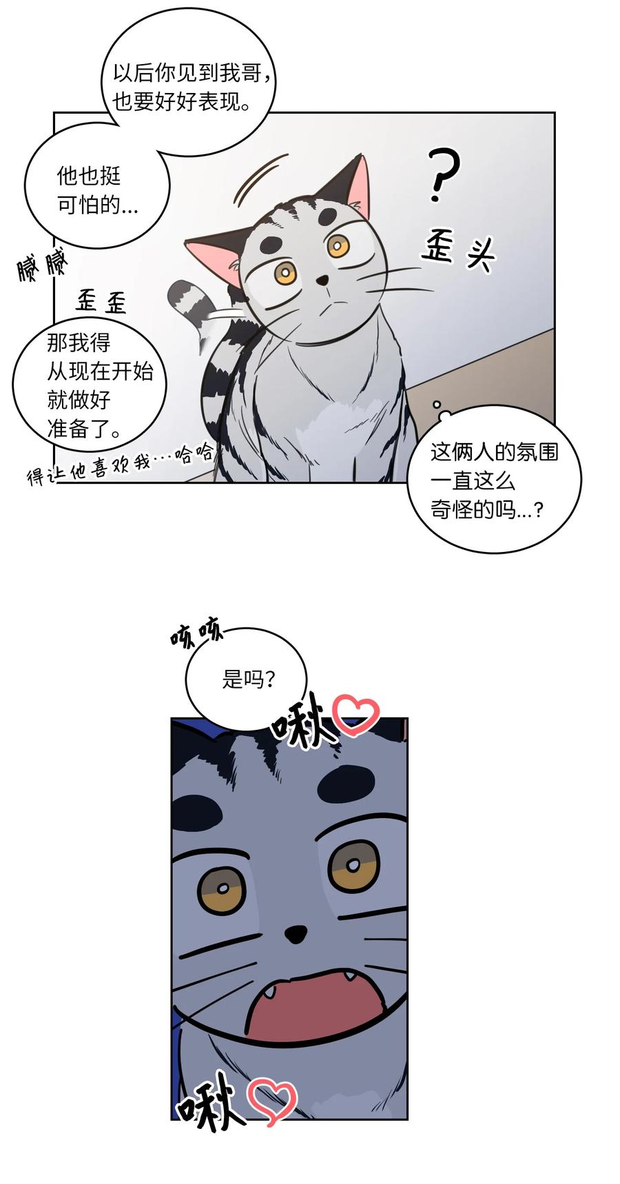 《心跳加速的合租生活》43 未知来电 第8页