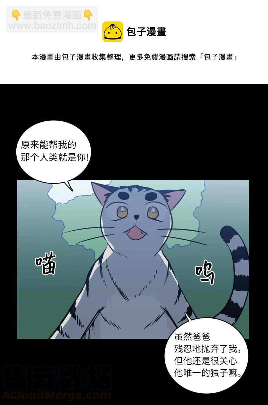 《心跳加速的合租生活》41 特别的力量 第37页