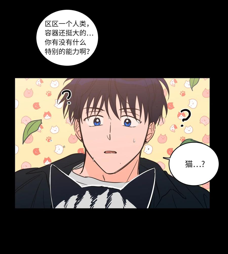 《心跳加速的合租生活》41 特别的力量 第38页