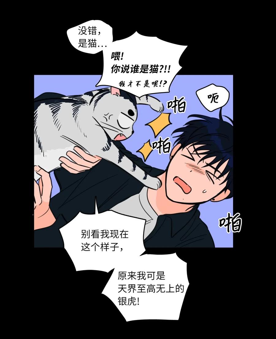 《心跳加速的合租生活》41 特别的力量 第39页