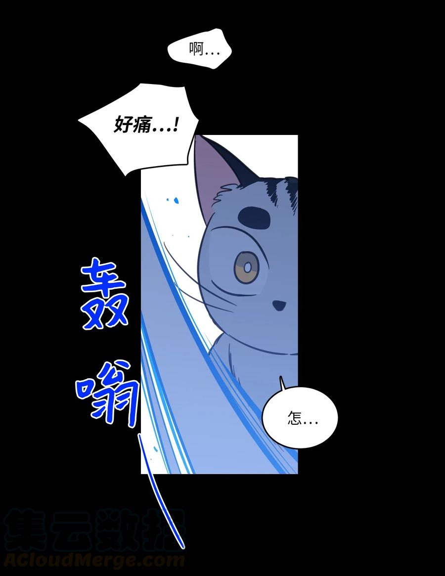 《心跳加速的合租生活》41 特别的力量 第40页